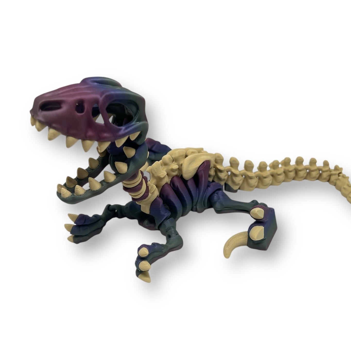 9" Velociraptor Dinosaur Skeleton - Articulated 3D Printed Ornament Decor Figurine