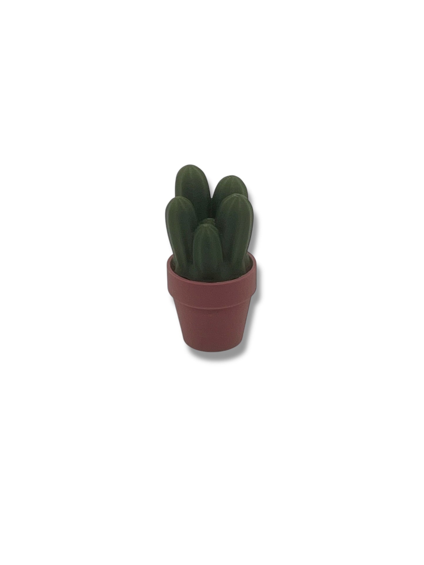 Adorable Fidget Clicker, Spinner and Magnetic Sets - 3d Printed Cactus, Plant and Mushroom Clicky Fidget Decor