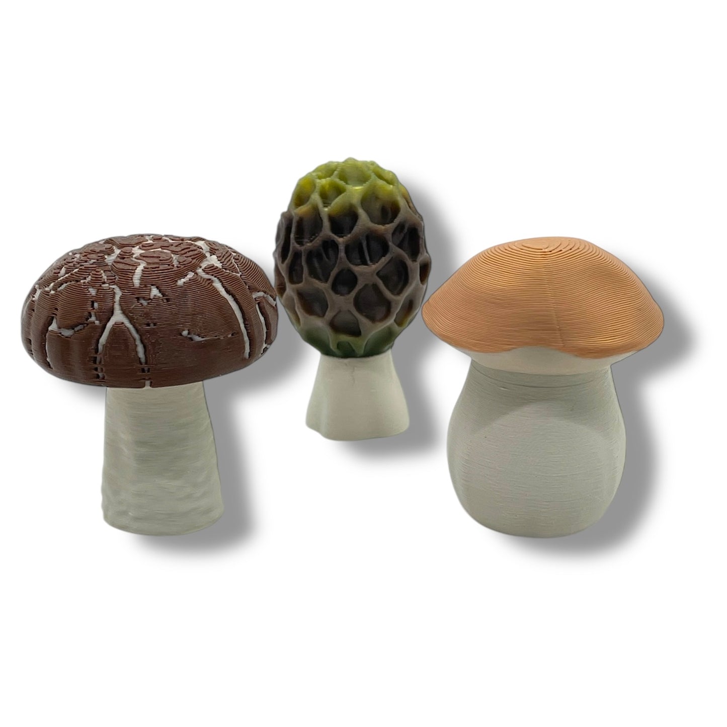 Adorable Fidget Clicker, Spinner and Magnetic Sets - 3d Printed Cactus, Plant and Mushroom Clicky Fidget Decor