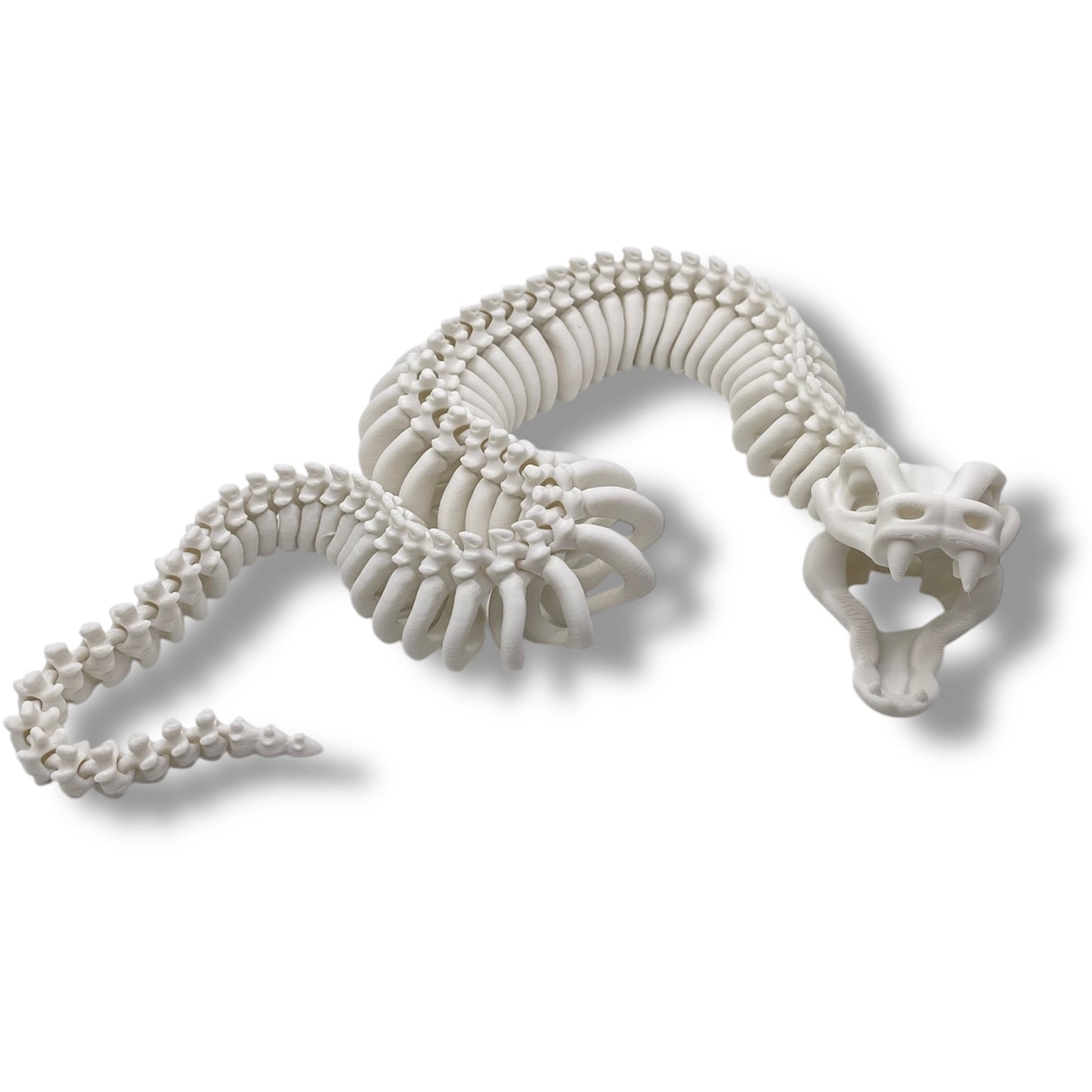 Amazing 22" Snake Skeleton Sneaky Snek - 3d Printed Fully Articulated Decor