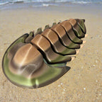 CHONKZ - 12" Giant Trilobyte Pocket Pals - Articulated Joints High-Quality 3D Printed Animal Figurine Decor