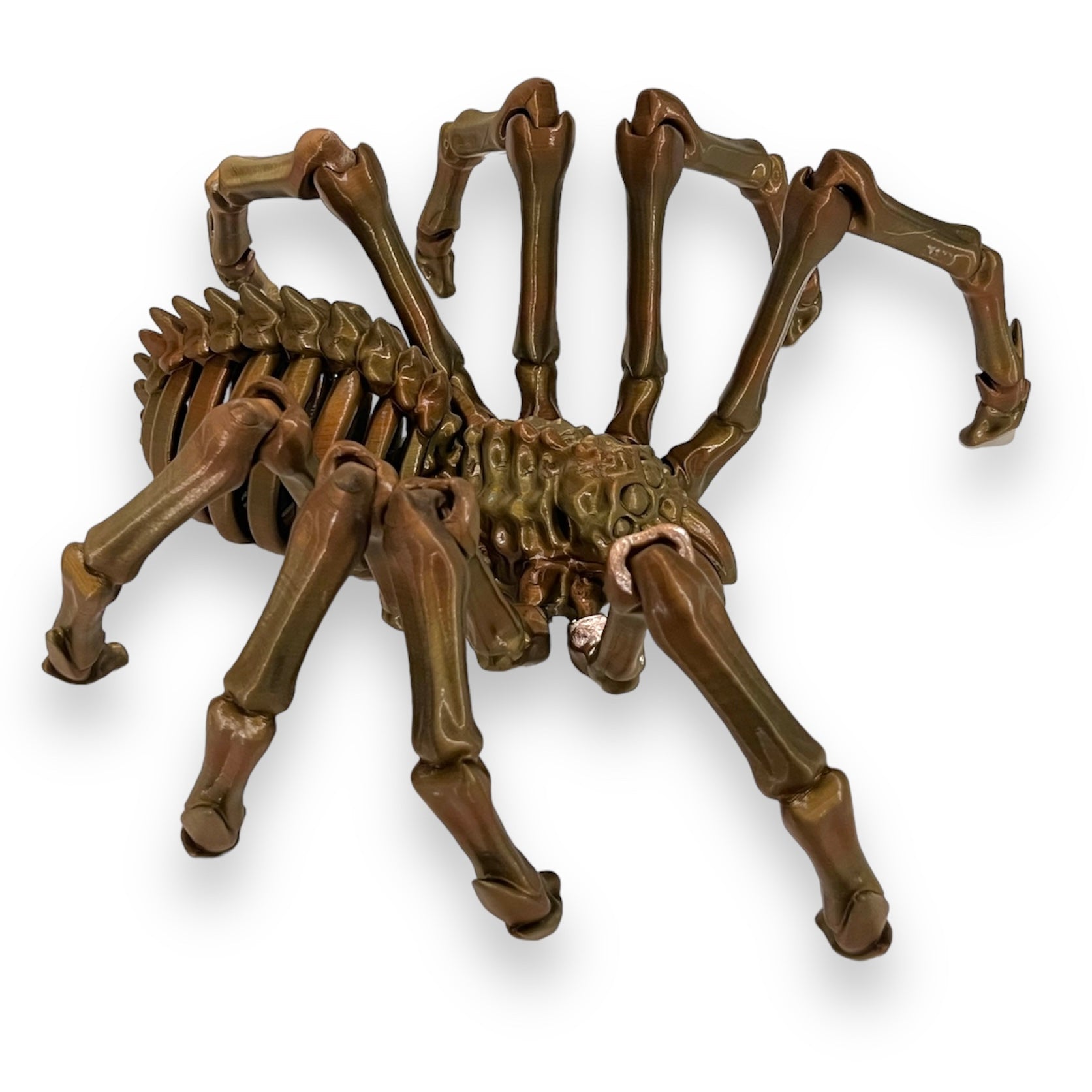 Giant 20" Articulated Tarantula Skeleton - Creepy 3d Printed Spider Figurine Decor Ornaments