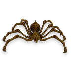 Giant 20" Articulated Tarantula Skeleton - Creepy 3d Printed Spider Figurine Decor Ornaments