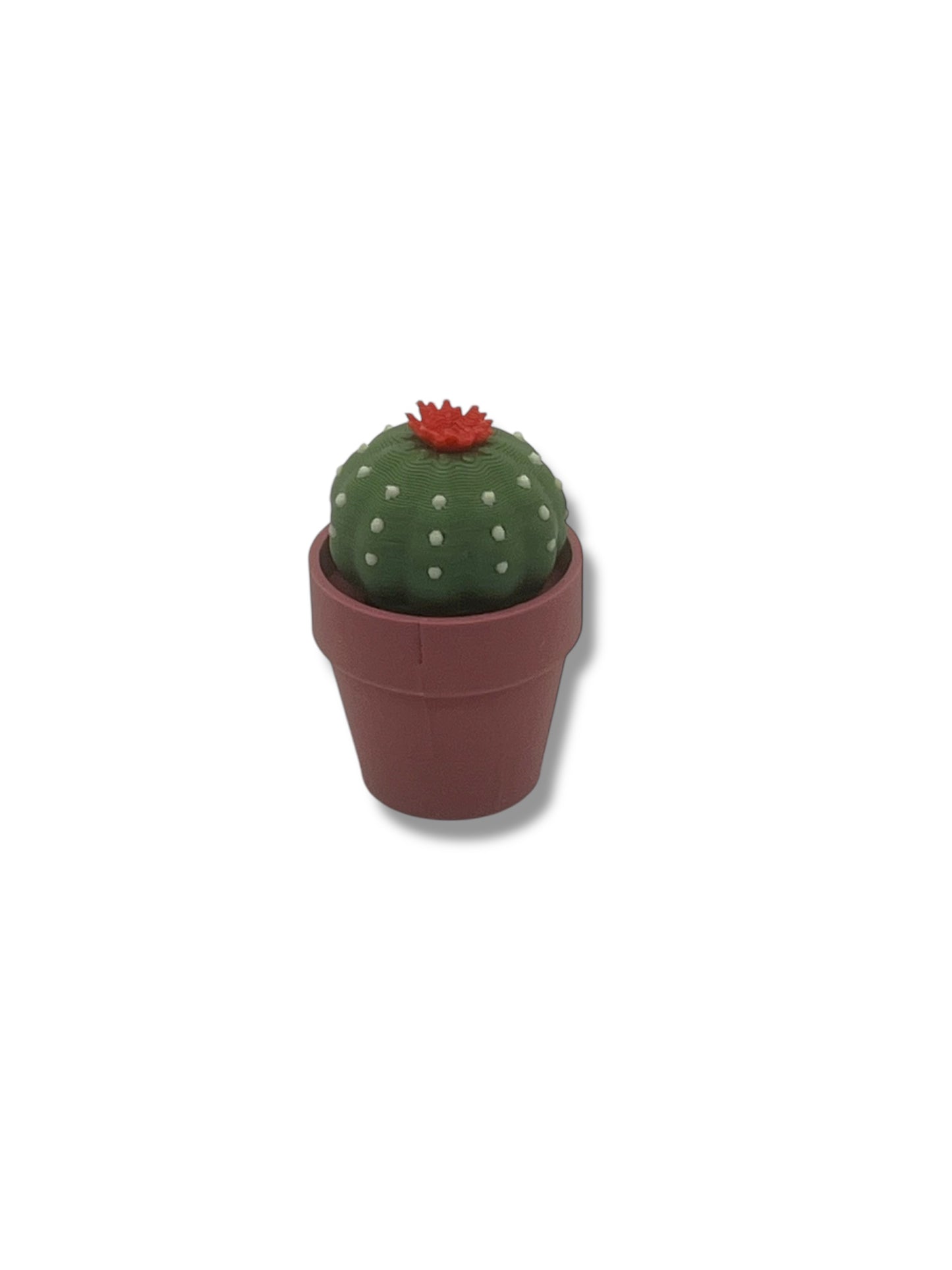 Adorable Fidget Clicker, Spinner and Magnetic Sets - 3d Printed Cactus, Plant and Mushroom Clicky Fidget Decor