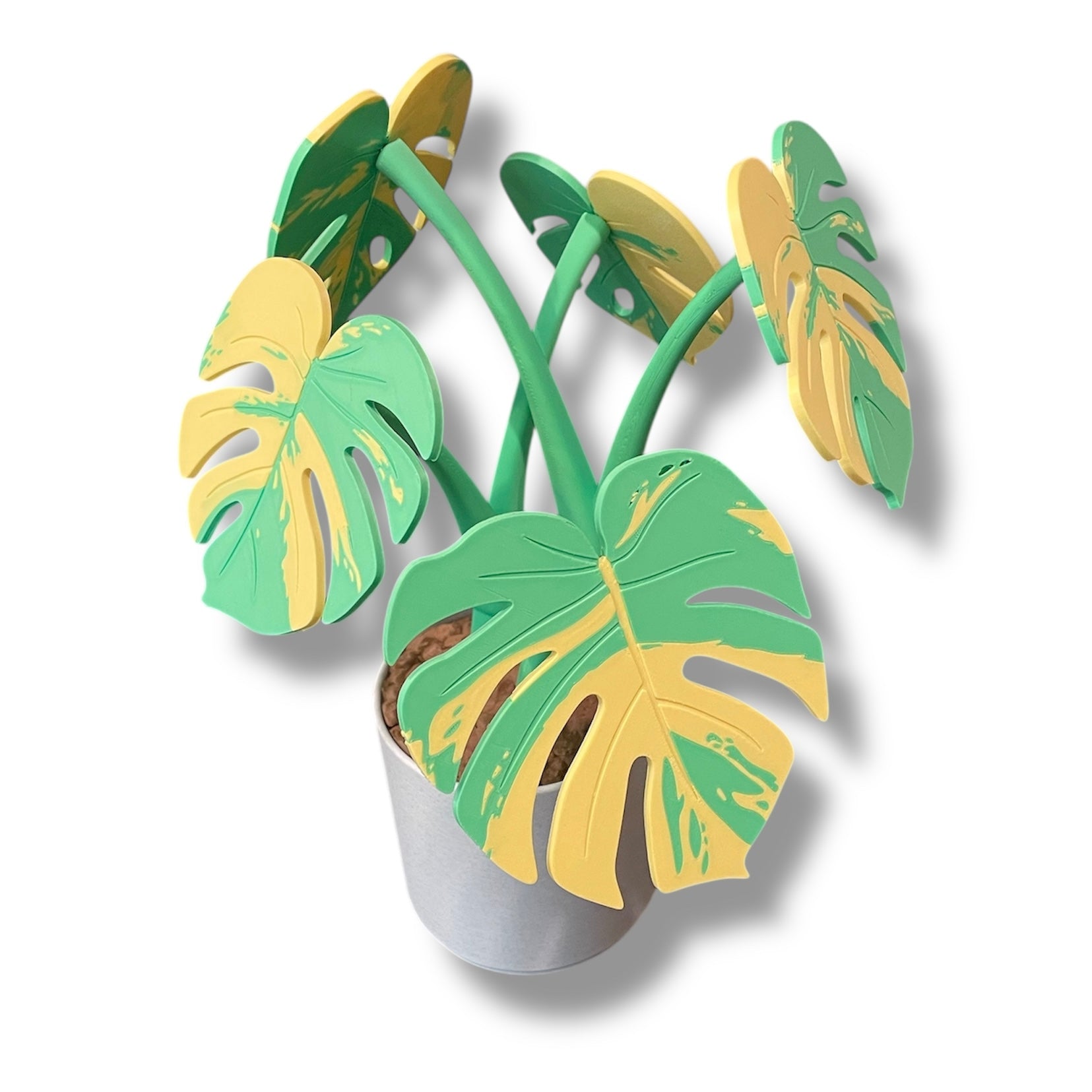 Beautiful Magnetic 13.5" Monstera Coaster Plant - 3d Printed Plant Figurine Decor