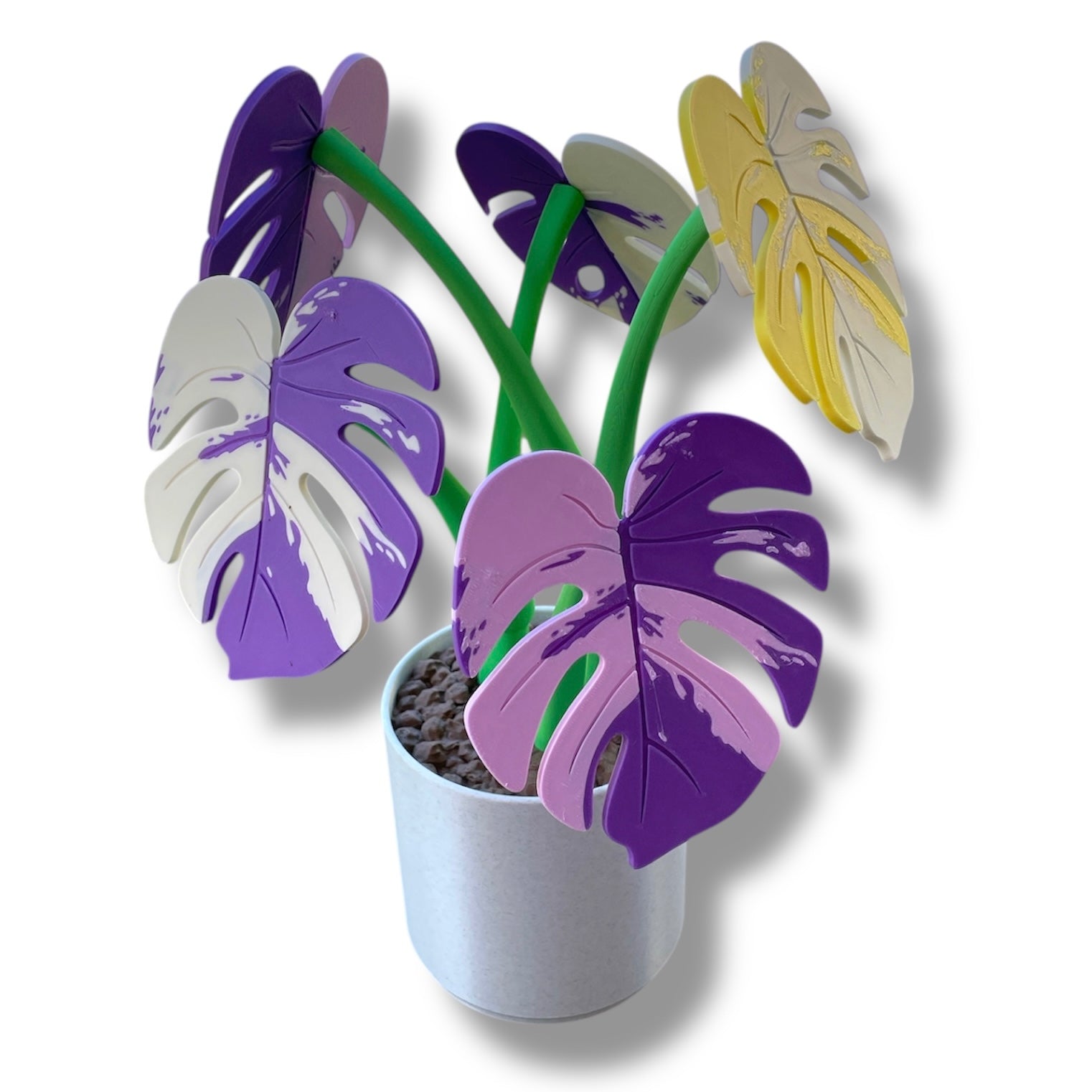 purple monstera plant Beautiful Magnetic 13.5" Monstera Coaster Plant