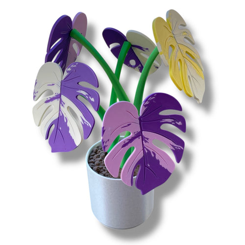 13.5-Inch Magnetic Monstera Coaster Plant – 5 Coasters – additional product view 2