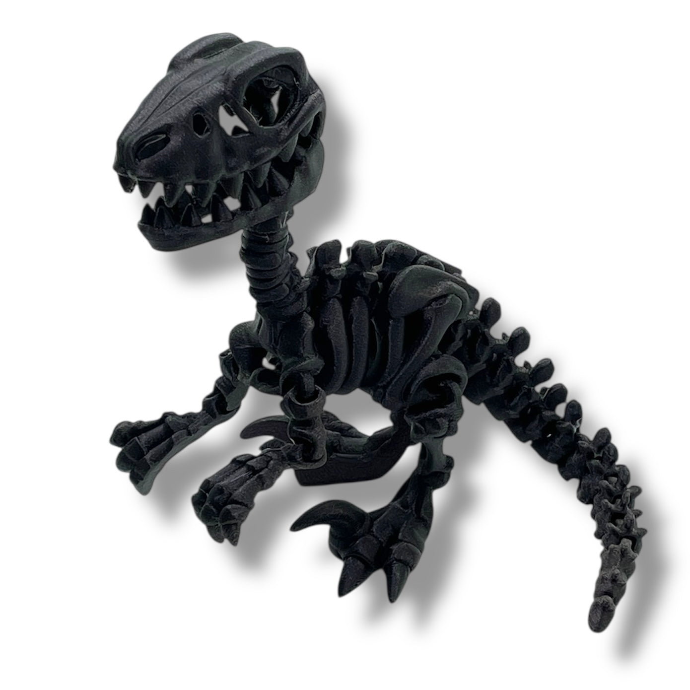 Amazing Dinosaur Skeleton Collection - 3d Printed Articulated Dinos by Flexi Factory - Home Decor