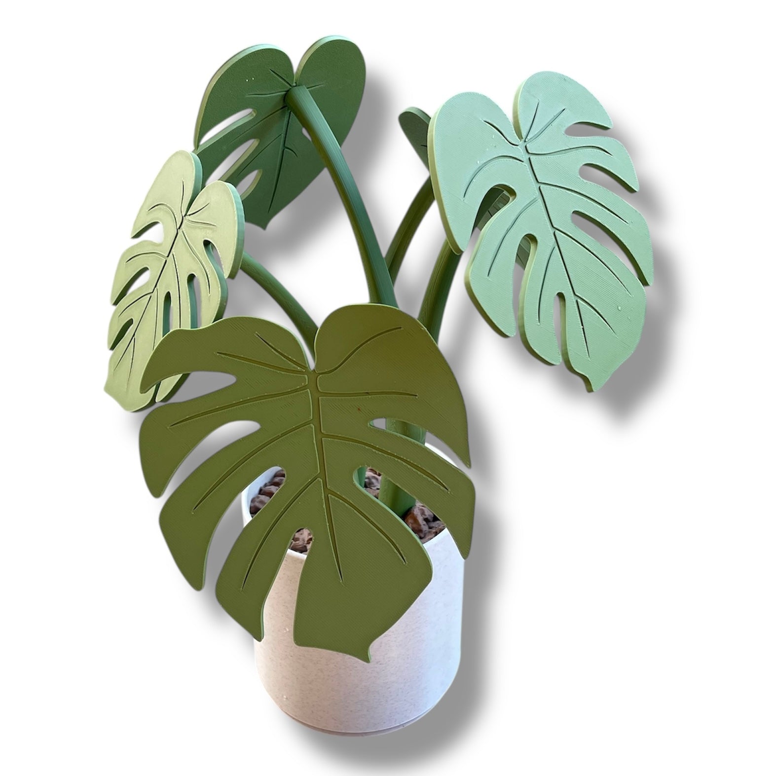 Beautiful Magnetic 13.5" Monstera Coaster Plant - 3d Printed Plant Figurine Decor