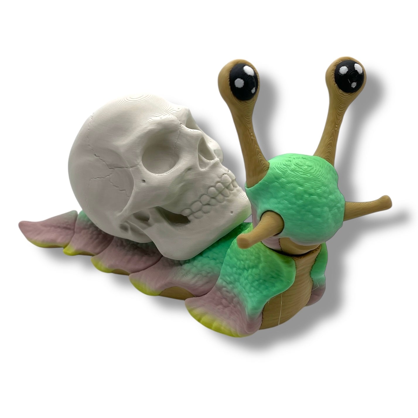 7" Live Build a Snail - Build your Snail Live
