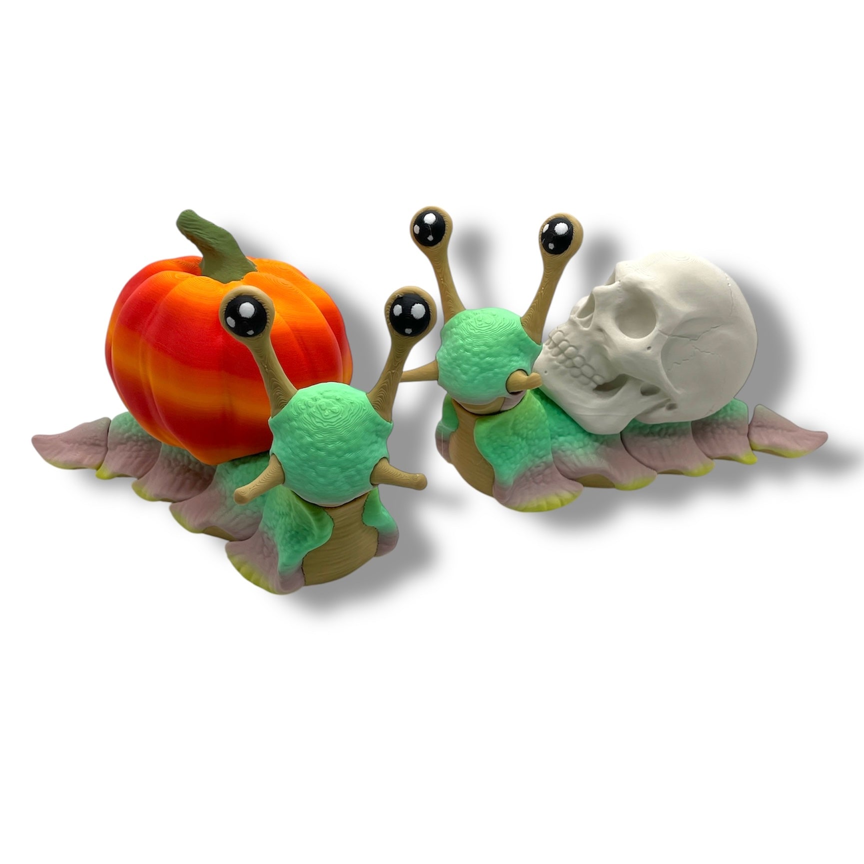 7" Live Build a Snail - Build your Snail Live