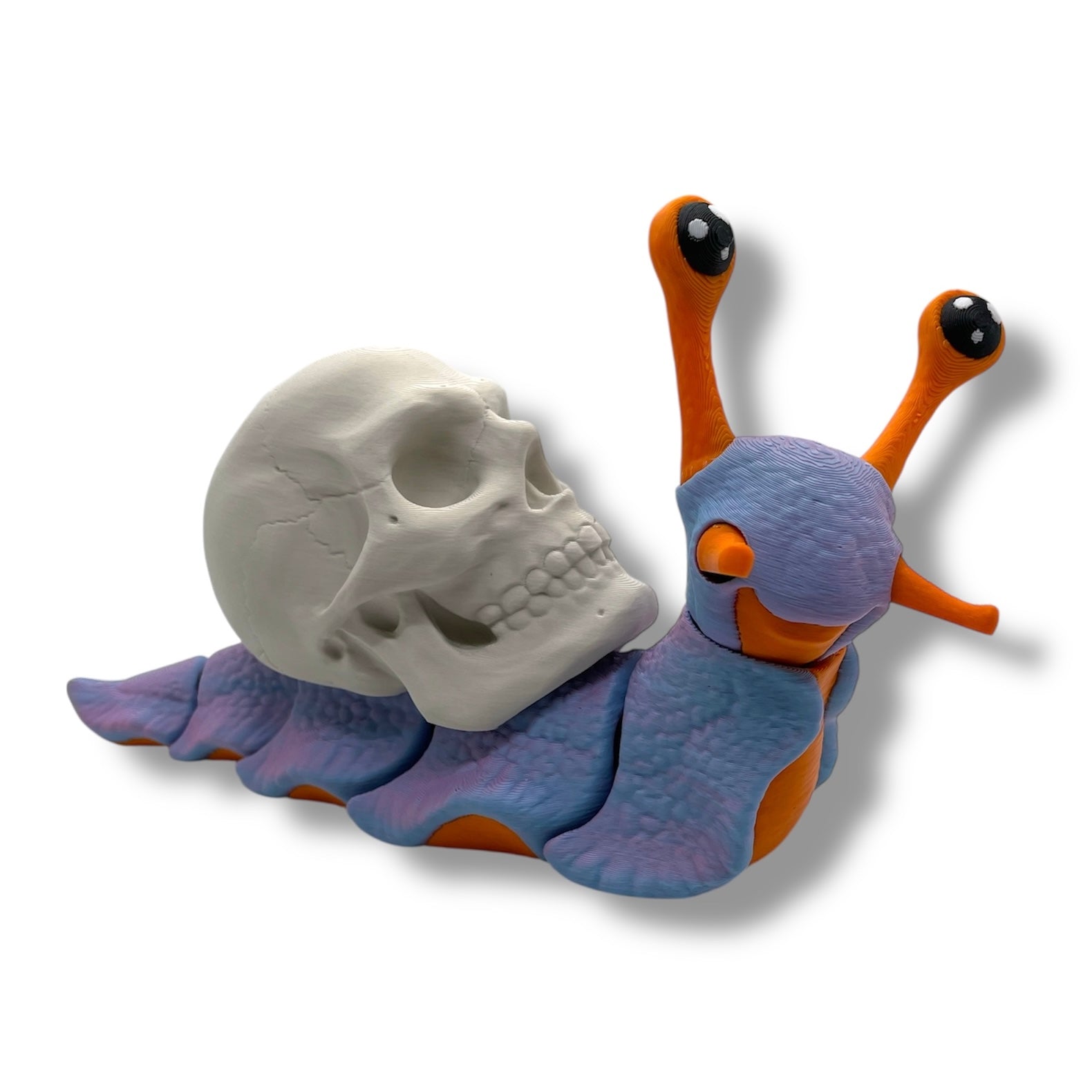 7" Live Build a Snail - Build your Snail Live