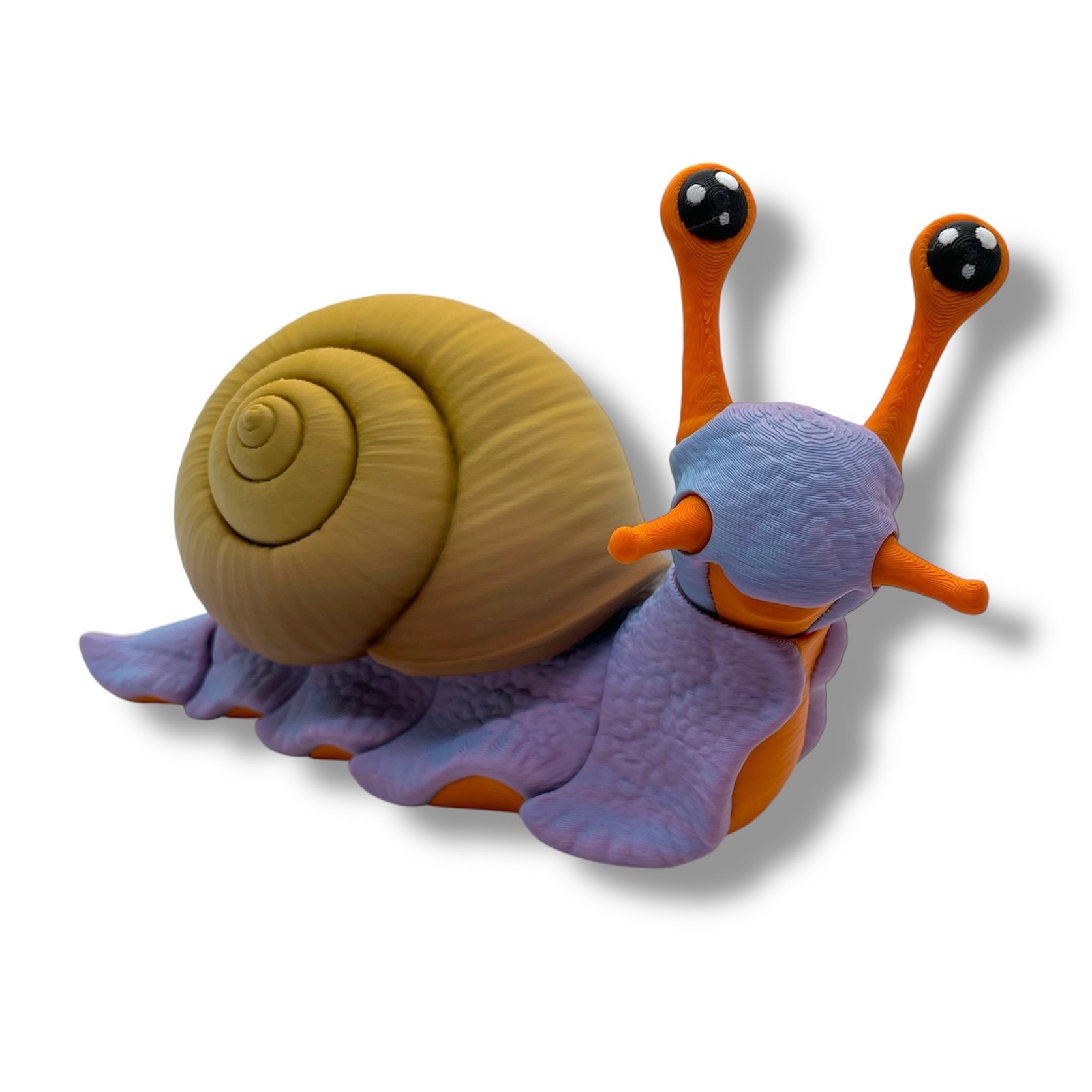 7" Live Build a Snail - Build your Snail Live