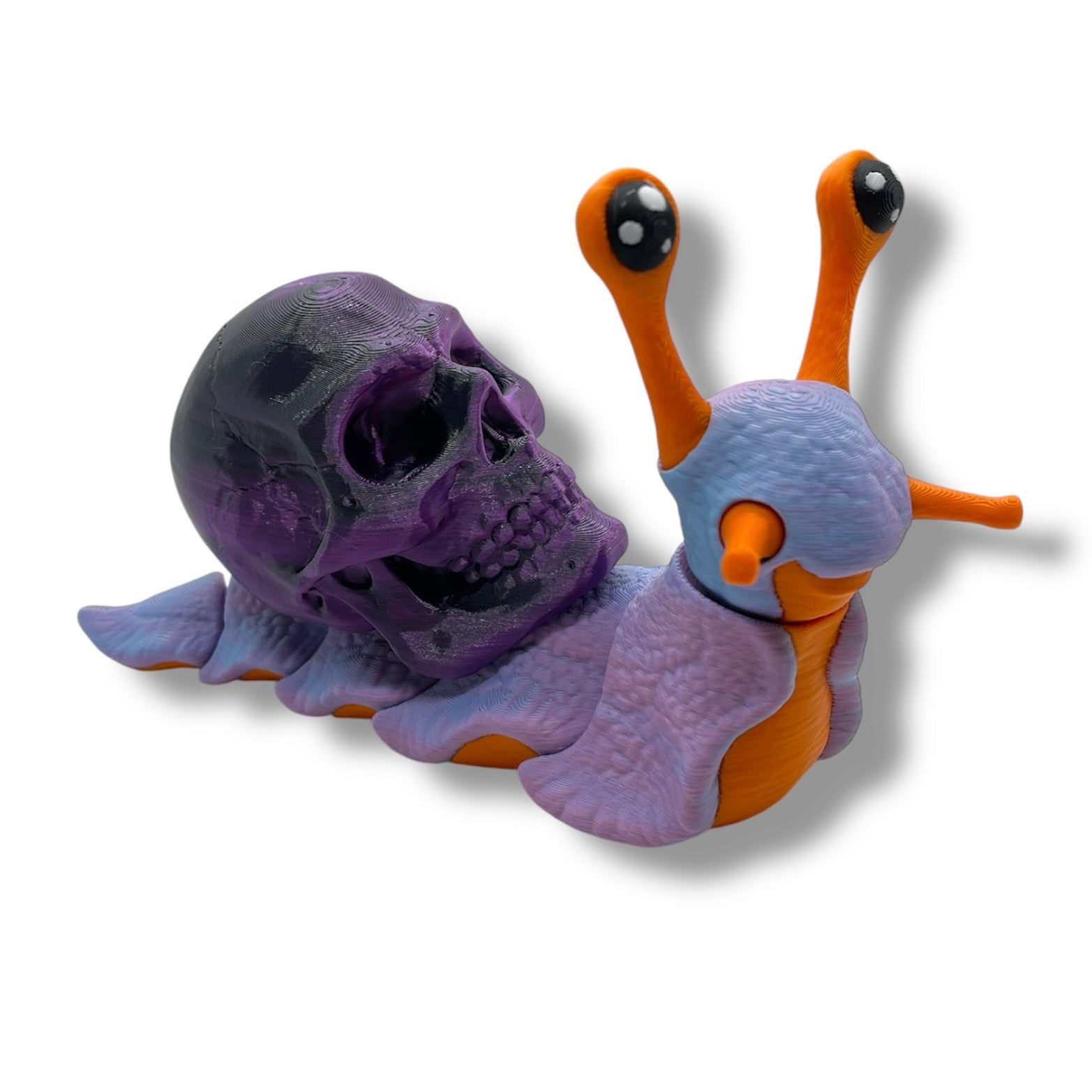 7" Live Build a Snail - Build your Snail Live