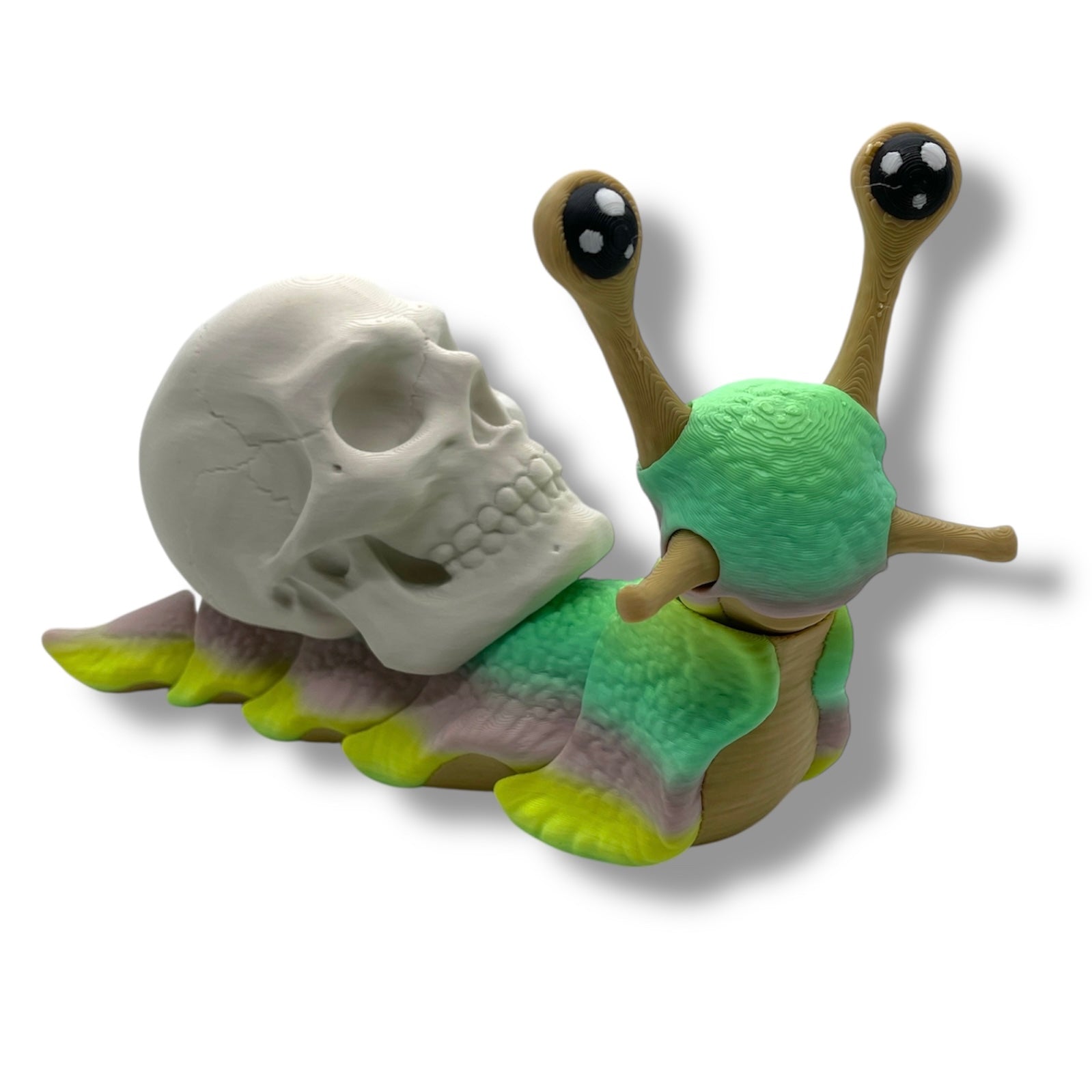 7" Live Build a Snail - Build your Snail Live