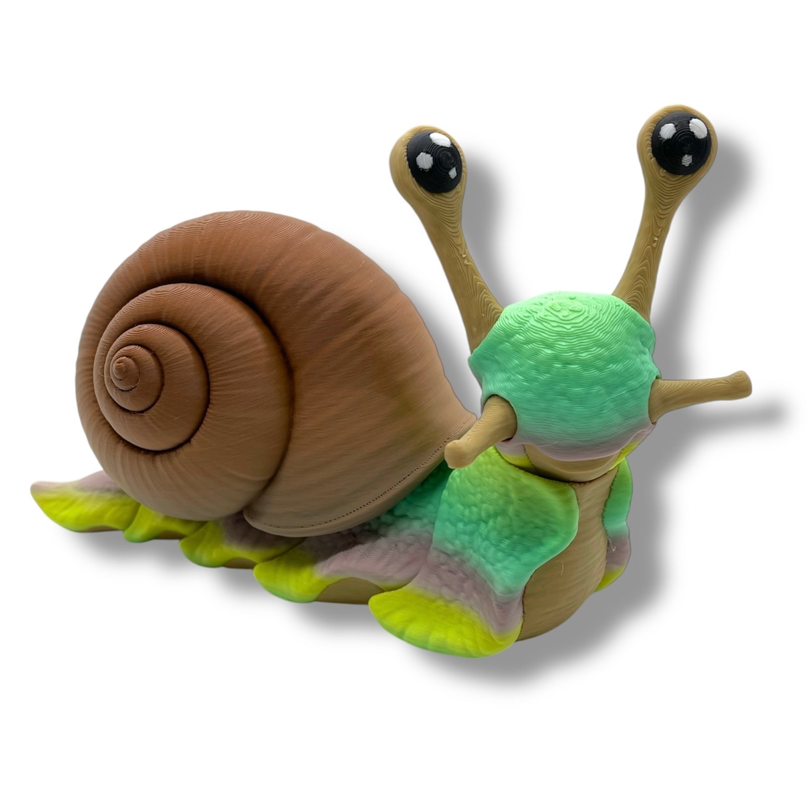 7" Live Build a Snail - Build your Snail Live
