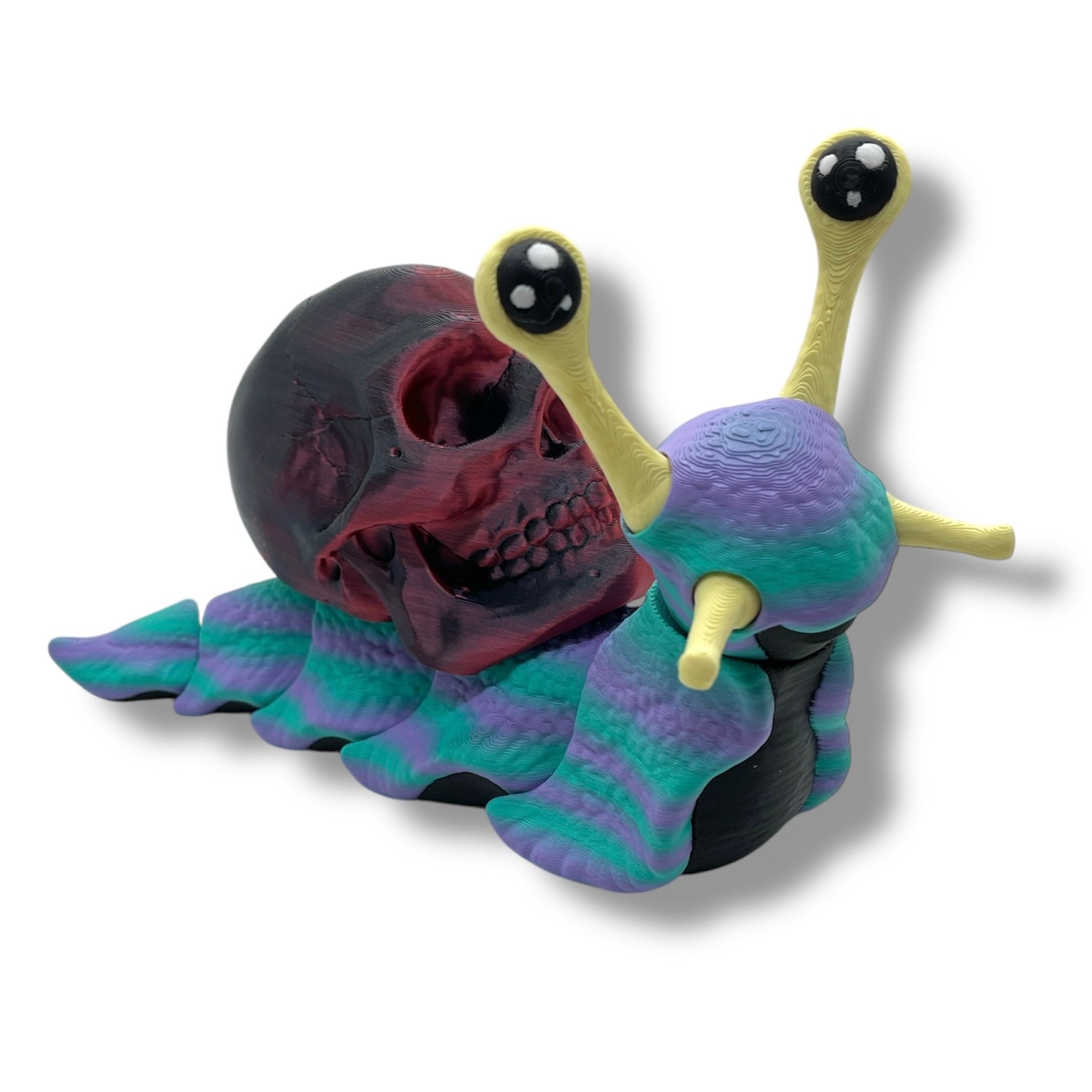 7" Live Build a Snail - Build your Snail Live