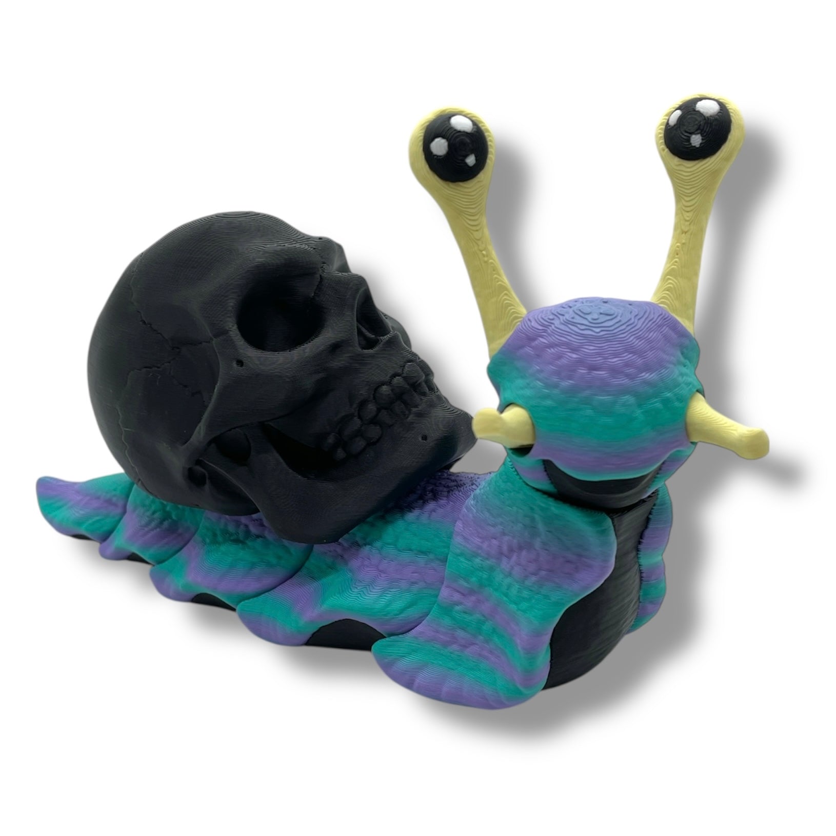 7" Live Build a Snail - Build your Snail Live