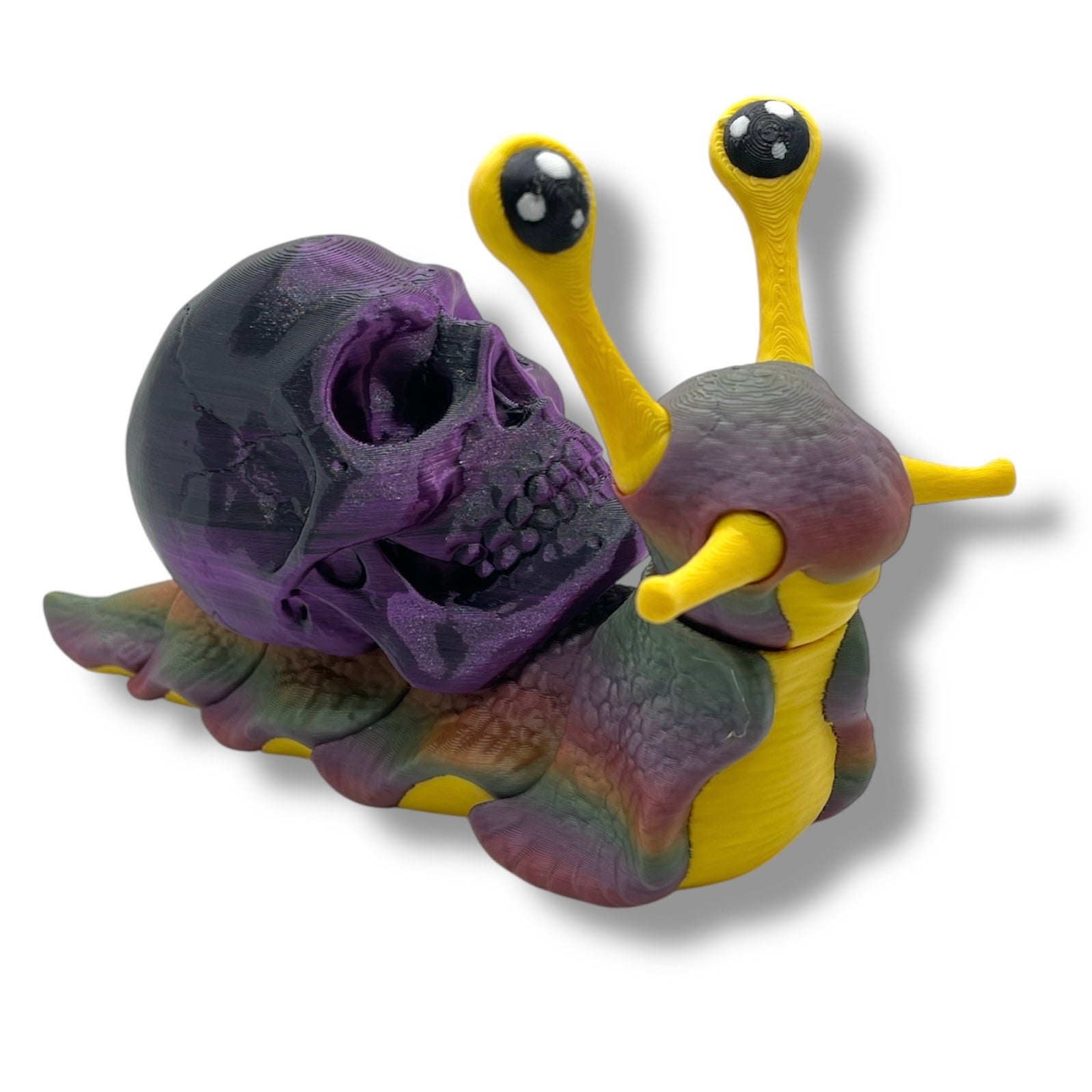 7" Live Build a Snail - Build your Snail Live