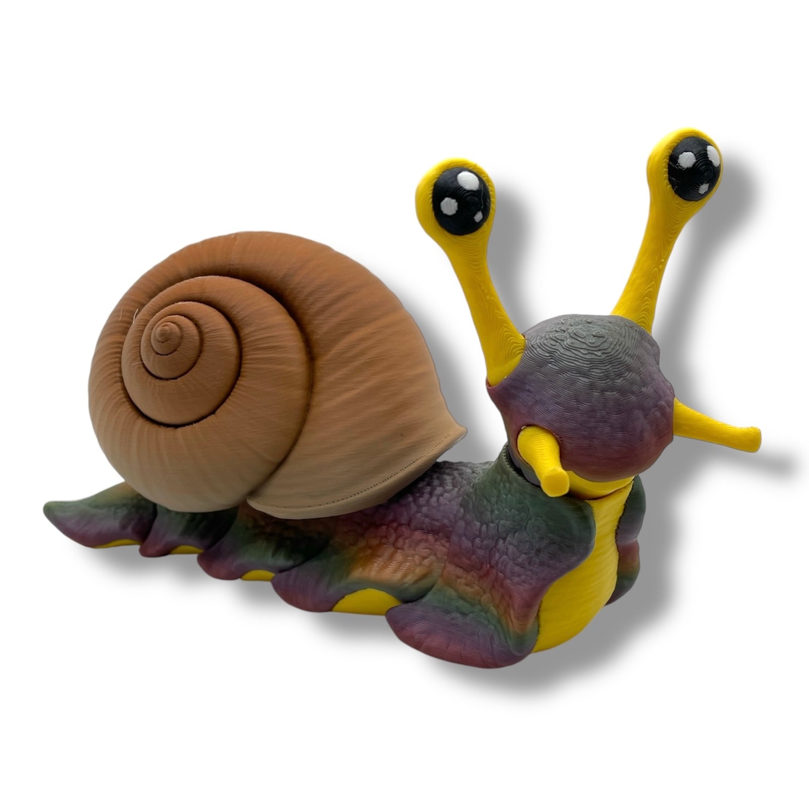 7" Live Build a Snail - Build your Snail Live