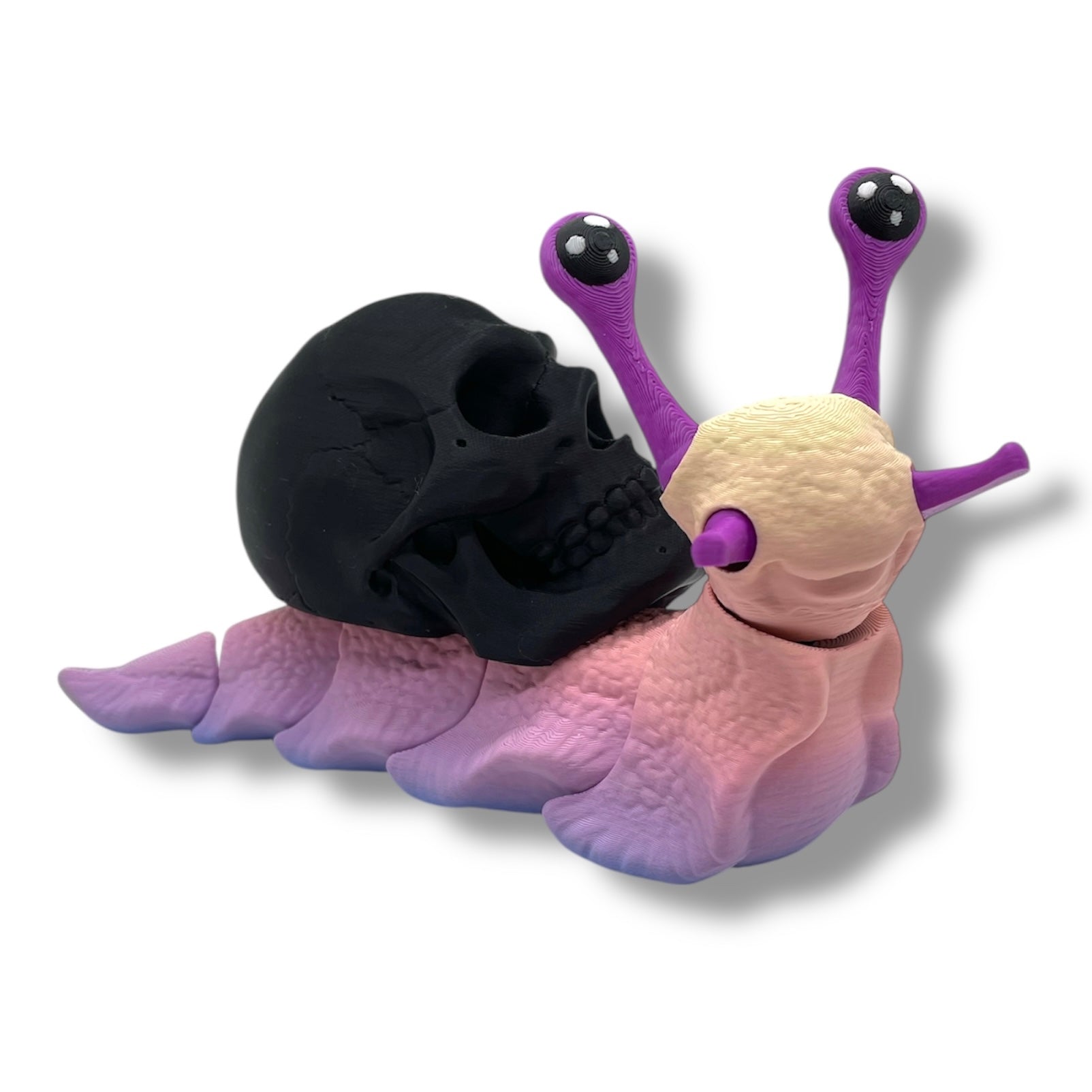 7" Live Build a Snail - Build your Snail Live