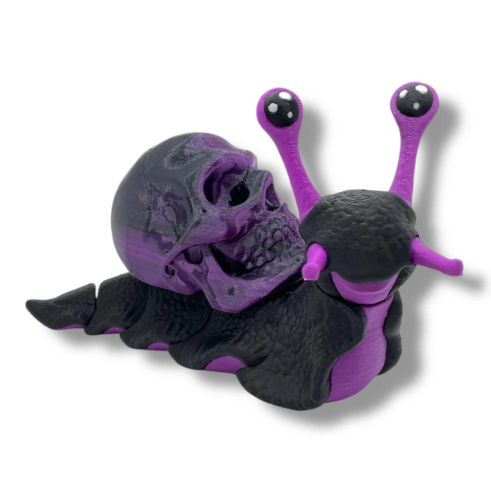 7" Live Build a Snail - Build your Snail Live