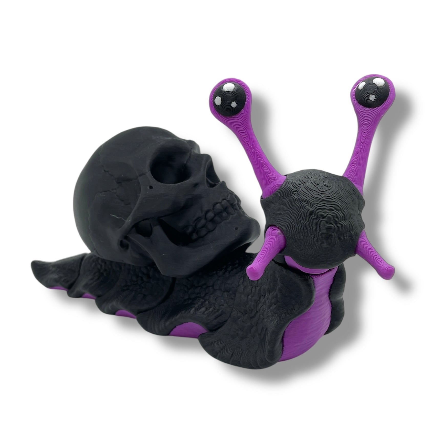 7" Live Build a Snail - Build your Snail Live