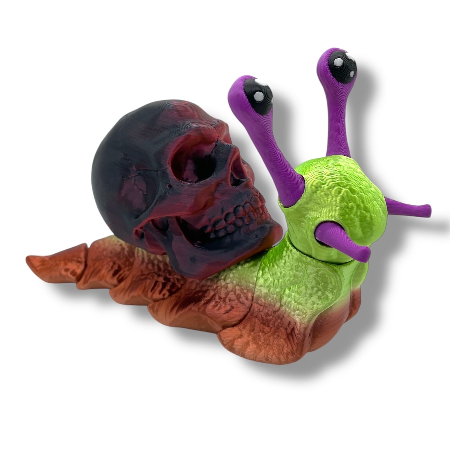 7" Live Build a Snail - Build your Snail Live