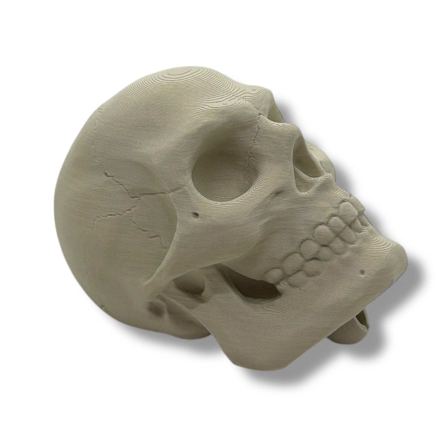 7" Cute Snail Desk Companion with Swappable Shells – Articulated Desk Pet Figure