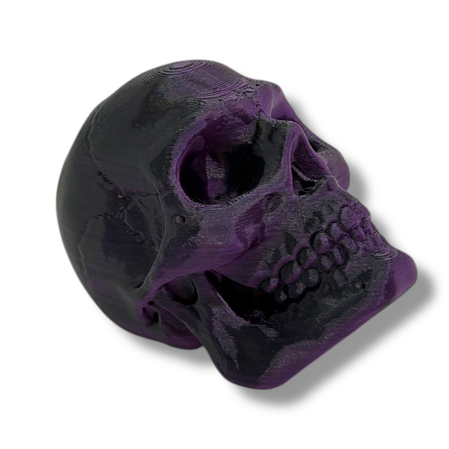 7" Cute Snail Desk Companion with Swappable Shells – Articulated Desk Pet Figure