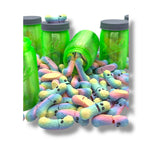 The Tickle Pickle Jar full of Pickles- Articulated 3D Printed Pickley Decor