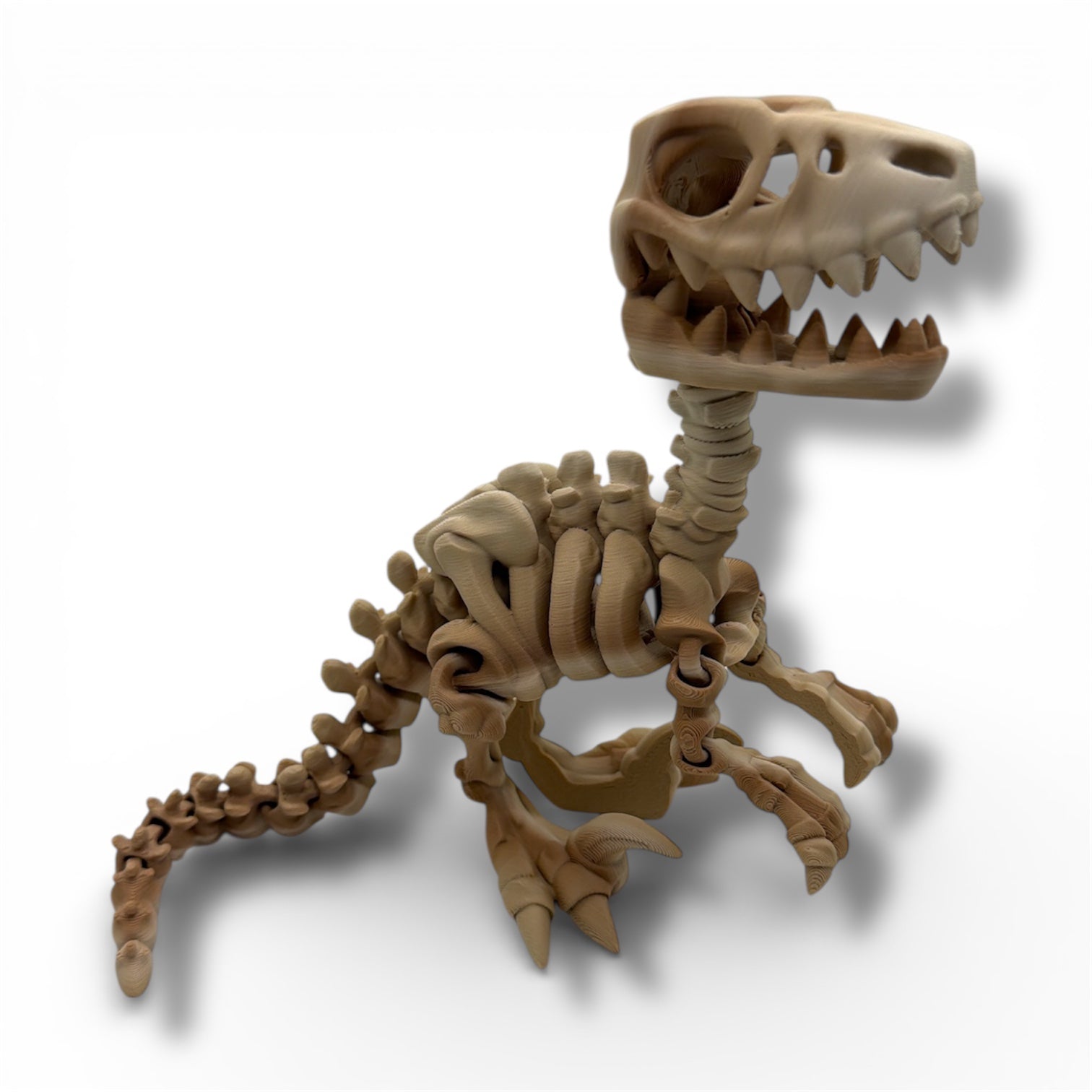 9" Velociraptor Dinosaur Skeleton - Articulated Desktop Decor Figurine