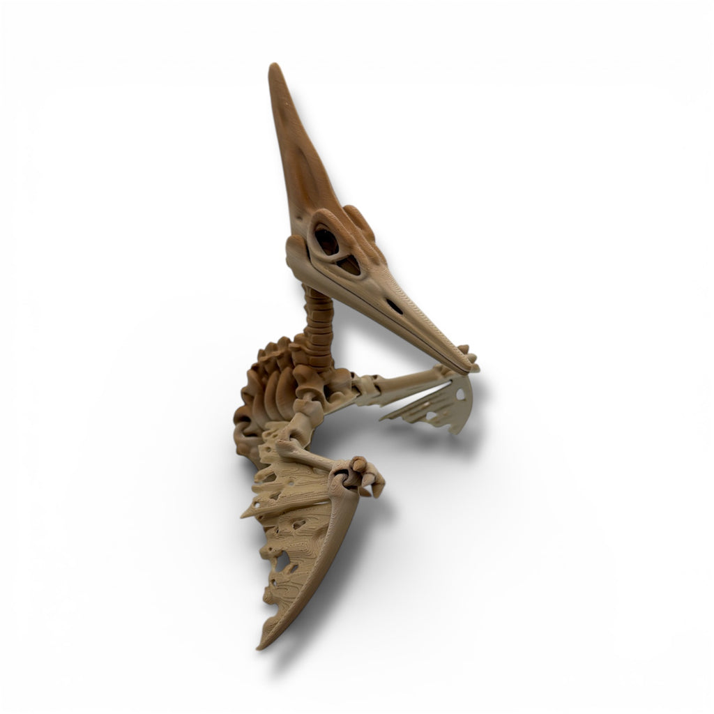 8" Pteranodon Dinosaur Skeleton - Articulated Desktop Decor Figurine
