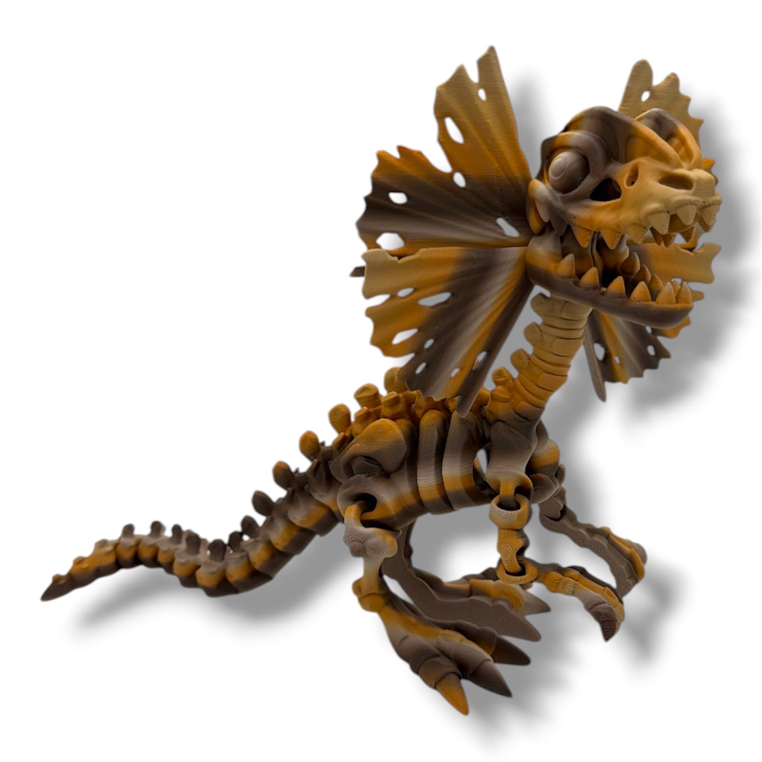 11" Dilophosaurus Dinosaur Skeleton- 3d Printed Articulated Figurine Decor Gift